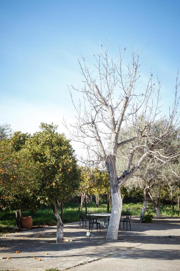 Villa Άθοσ Nauplia Esterno foto