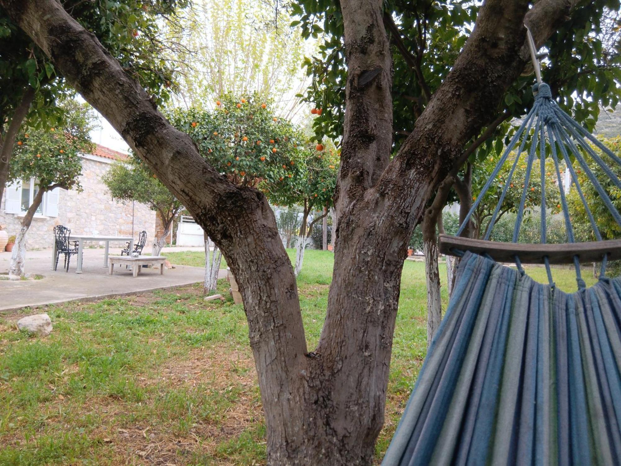Villa Άθοσ Nauplia Esterno foto